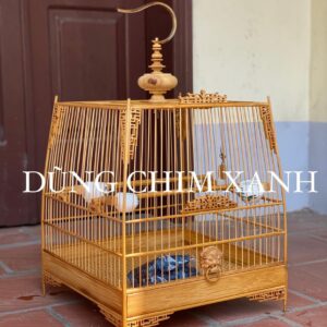 Lồng Chào Mào Tre Già Thái Lọng